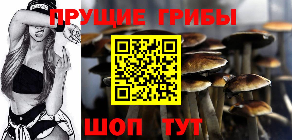 Галлюциногенные грибы Magic Shrooms Ярославль