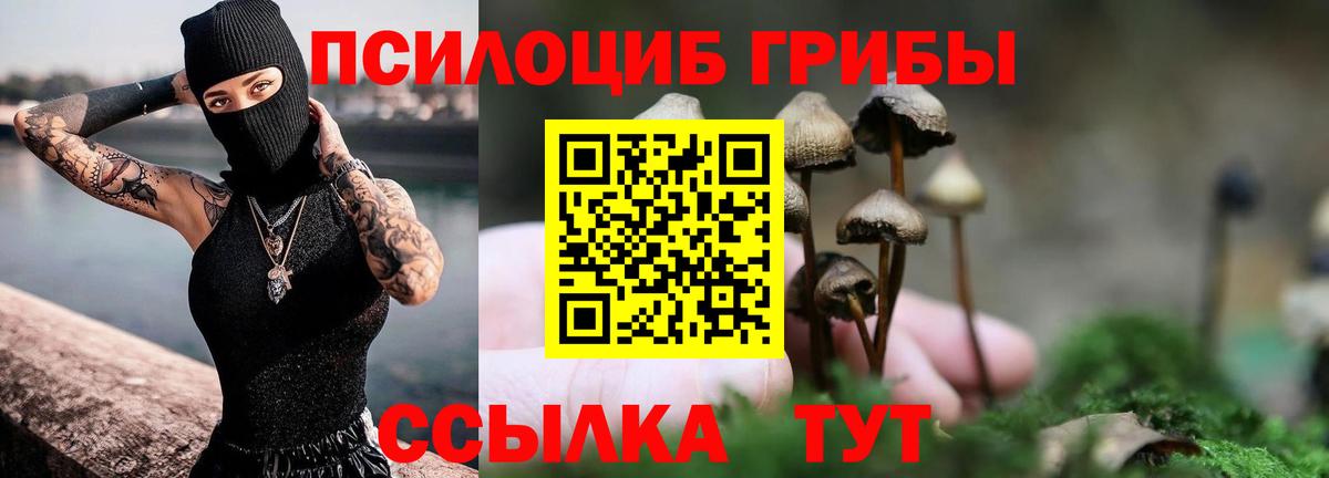 Псилоцибиновые грибы GOLDEN TEACHER  Псилоцибиновые грибы прущие грибы  Ярославль  Вход с VPN 
